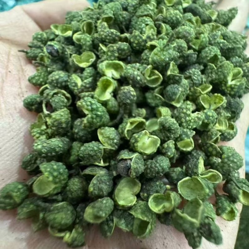 26年青花椒基地直发电脑色选无刺杂质特级