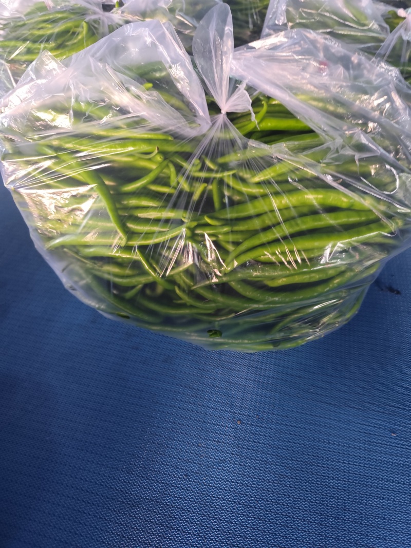 精品青线椒大量有货，市场，电商大量供应