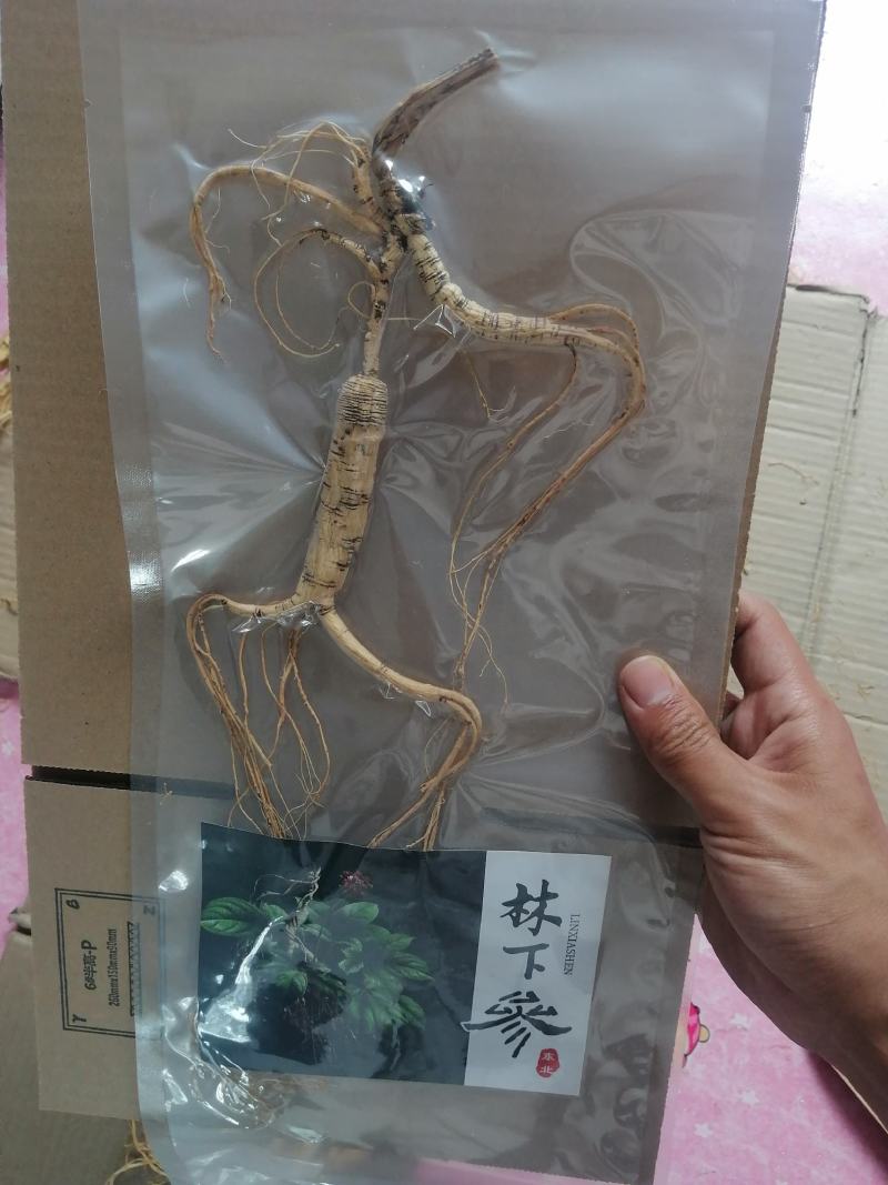 林下参干货长白山原产地直发单支整支高年头白生晒人参泡酒煲