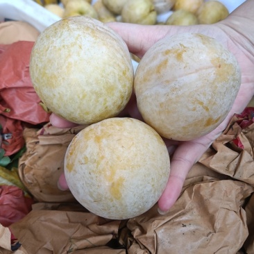 深山老林种植的水果，开始安排发货咯一年就这段时间不要错过