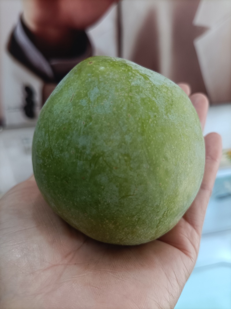 深山老林种植的水果，开始安排发货咯一年就这段时间不要错过
