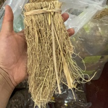 养肝草