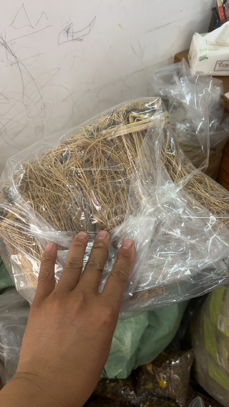 养肝草