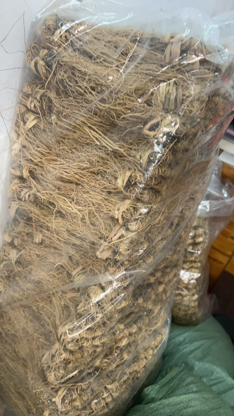 养肝草