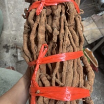 胡椒根选货扎把货味道浓需要的亲赶紧下手