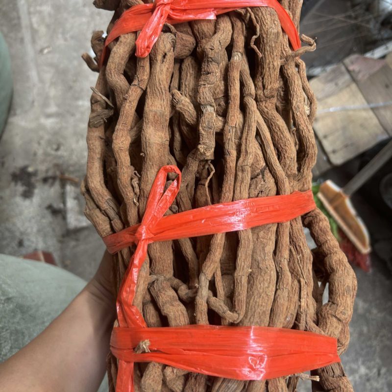 胡椒根选货扎把货味道浓需要的亲赶紧下手
