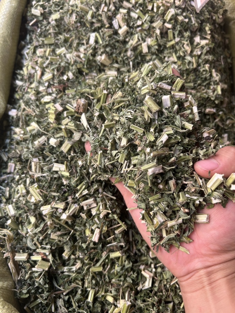 益母草新货颜色青绿色大量现货供应，规格齐全货发全国