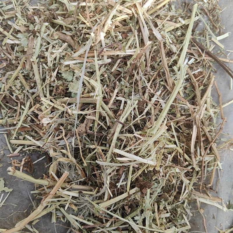 2025花生秧自产自销预售200吨左右卖完为止