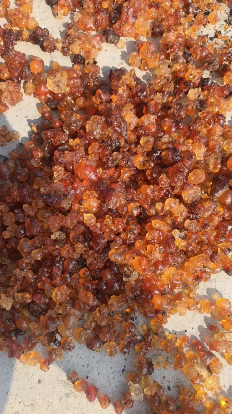 精品桃胶天然晾晒，黄红颗粒桃胶各种规格产地一手货源