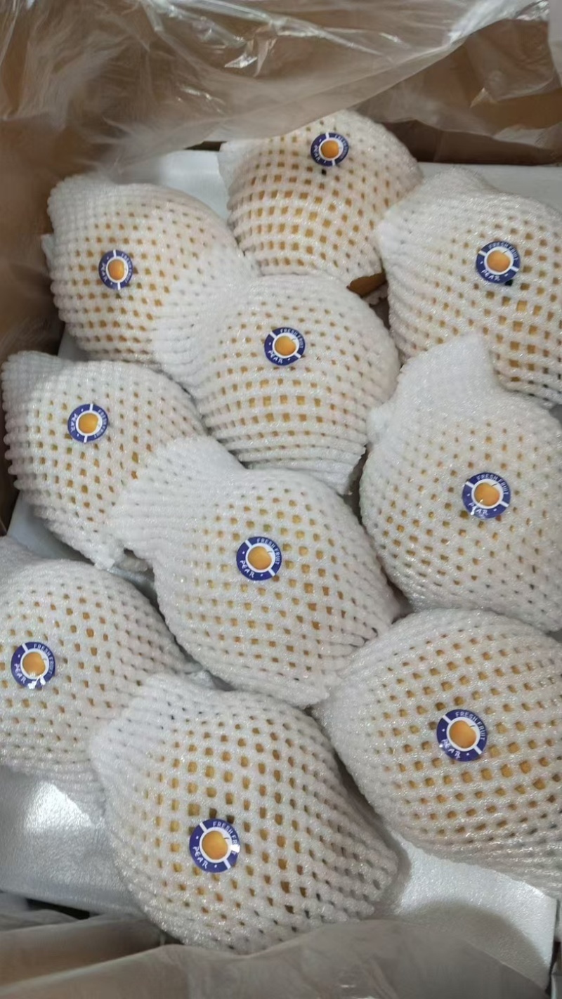 聊城冠县精品丰水梨礼盒装产地直销脆甜可口质量保证