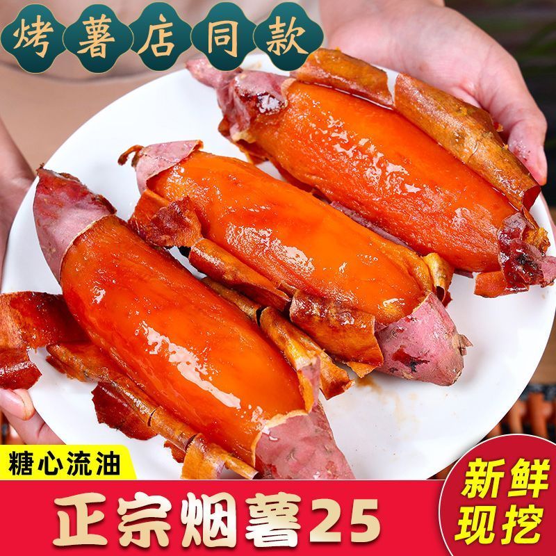 《烟薯25》河北红薯蜜薯基地直发保质保量一条龙服务对接