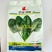翠绿306菠菜种子浓绿厚肉大叶高产耐寒商品性佳