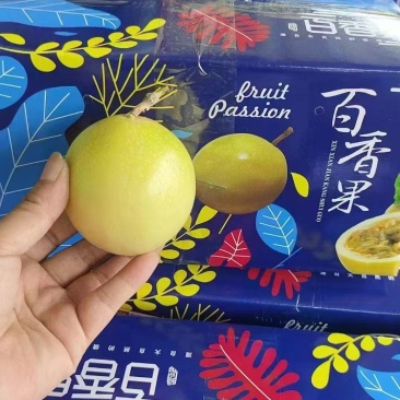 钦蜜九号百香果大量供应，产地直发，部分地区包邮，欢迎选购