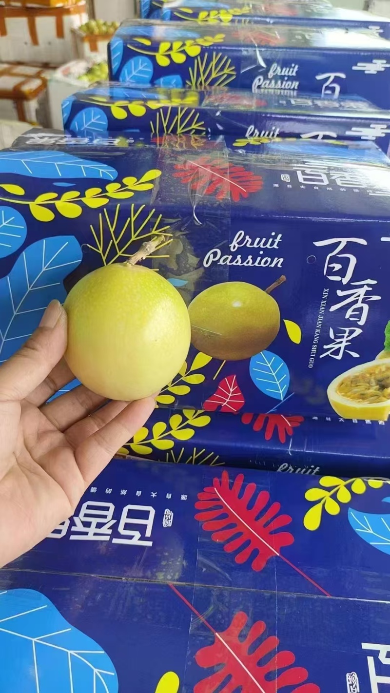 钦蜜九号百香果大量供应，产地直发，部分地区包邮，欢迎选购