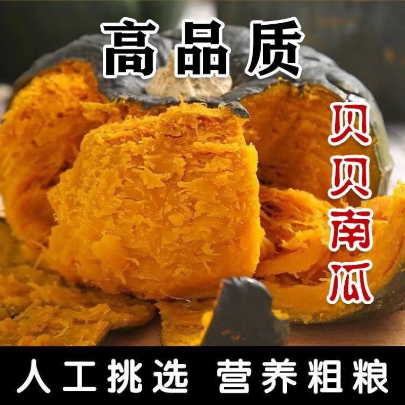 贝贝南瓜电商货不死号一件代发