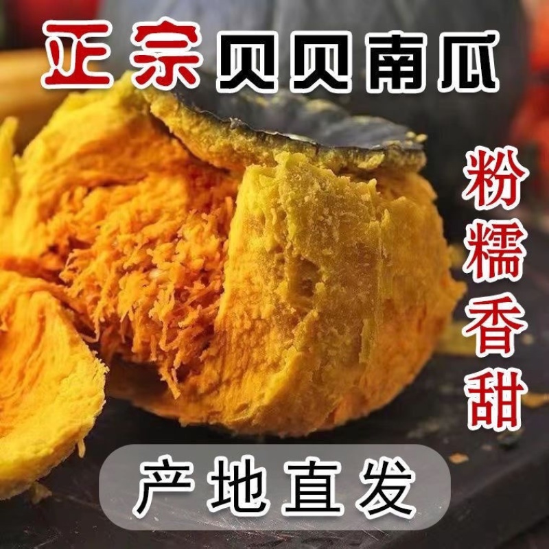 贝贝南瓜电商货不死号一件代发