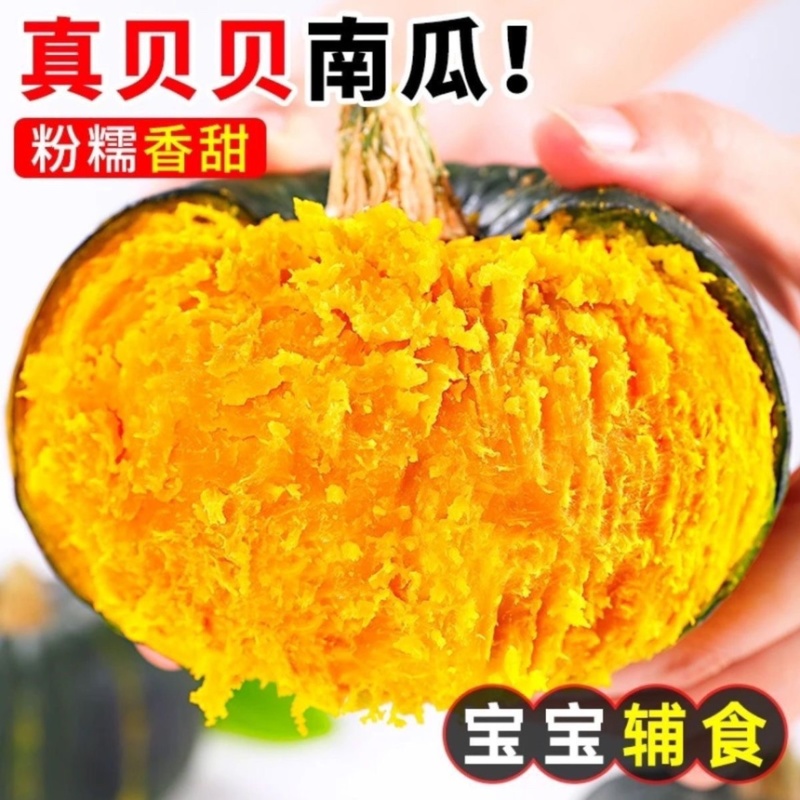 贝贝南瓜电商货不死号一件代发
