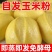 玉米自发粉馒头包子窝窝头杂粮粉免发酵自发面粉家用