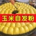 玉米自发粉馒头包子窝窝头杂粮粉免发酵自发面粉家用