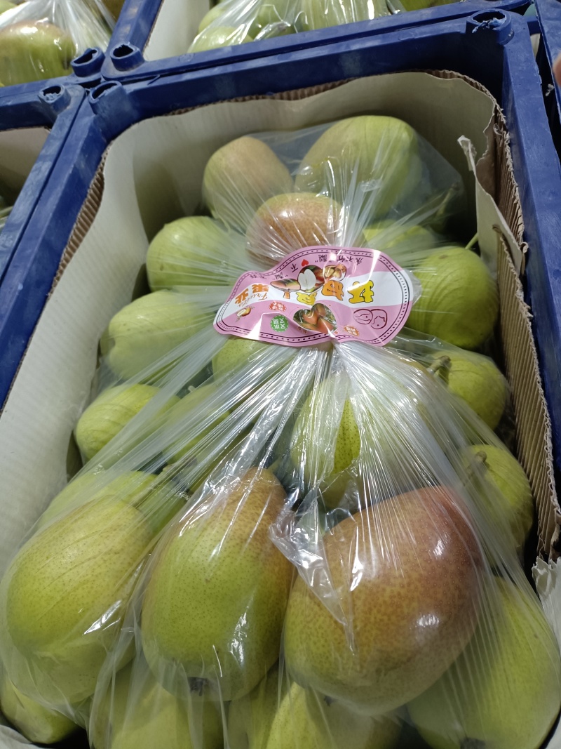 红香酥大量即将上市