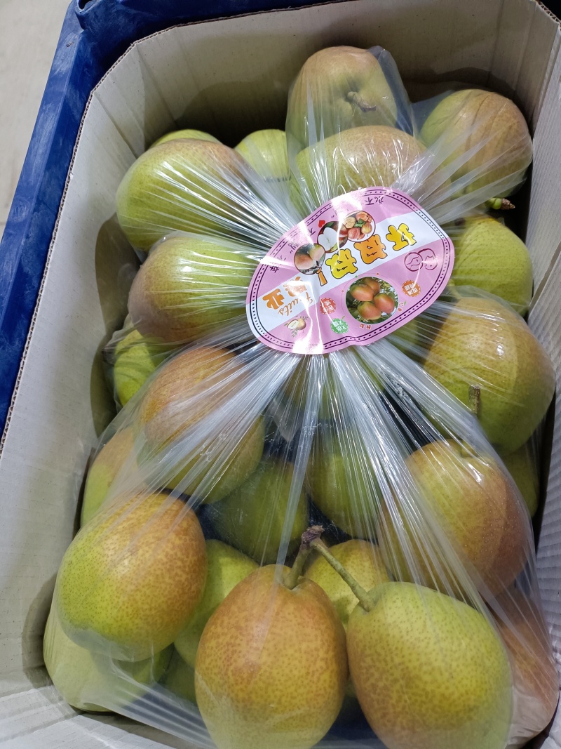 红香酥大量即将上市