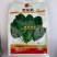 墨绿强菠菜种子肉厚深绿叶菠菜种籽抗病耐寒越冬菠菜种子