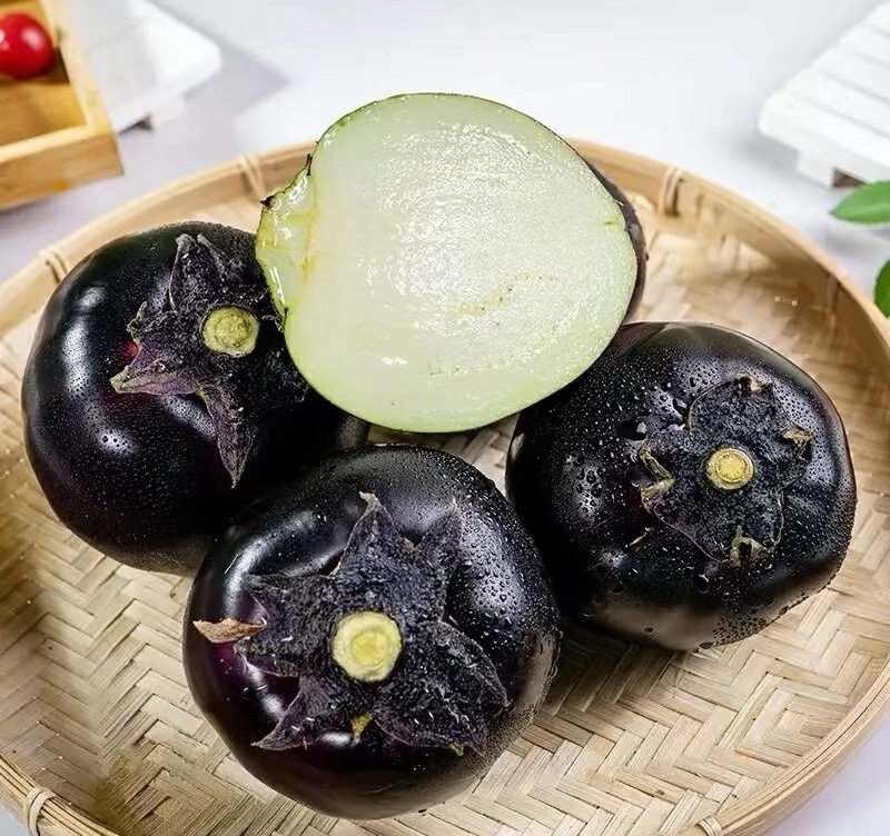 紫光圆茄产地直供量大从优全国发货欢迎联系