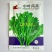 中叶茼蒿种子种籽农家南北春秋季菜籽种阳台盆栽皇帝菜柔嫩蔬