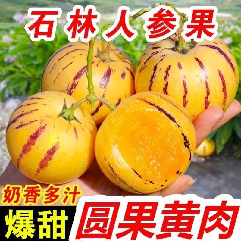 云南石林人参果货源稳定支持电商社区团购市场档口批发