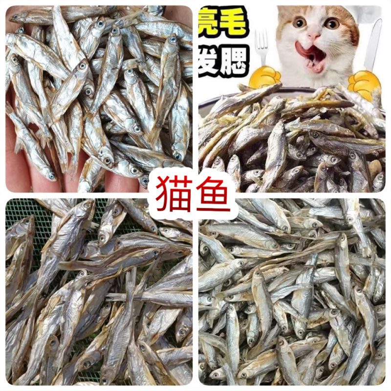 猫零食小鱼干淡水无盐鱼干猫咪零食批发增肥发腮补钙宠物猫粮