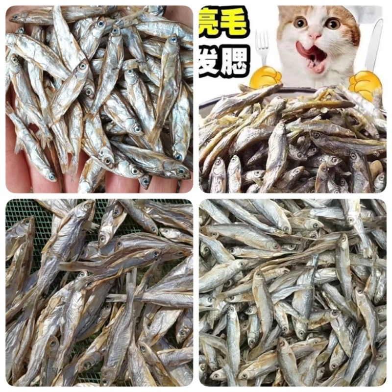 猫零食小鱼干淡水无盐鱼干猫咪零食批发增肥发腮补钙宠物猫粮