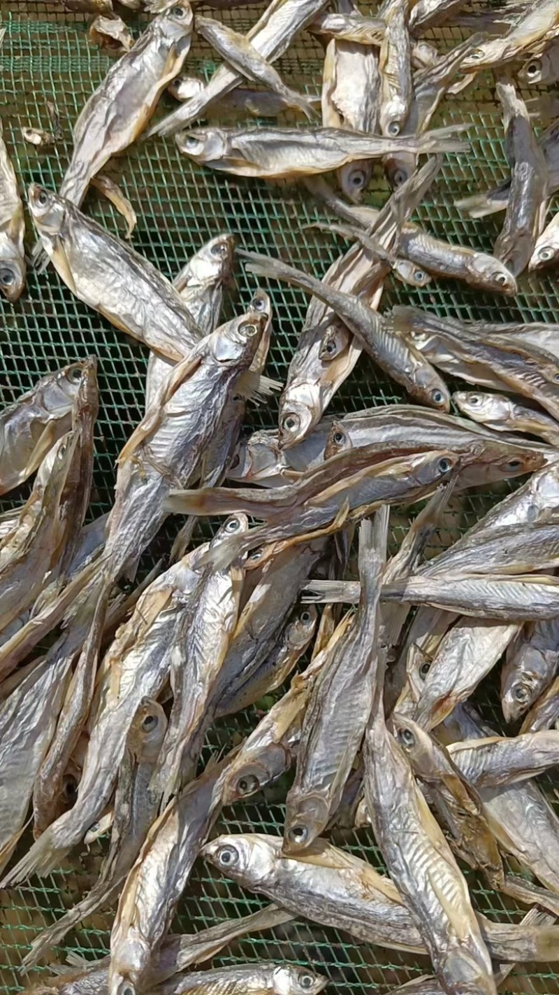猫零食小鱼干淡水无盐鱼干猫咪零食批发增肥发腮补钙宠物猫粮