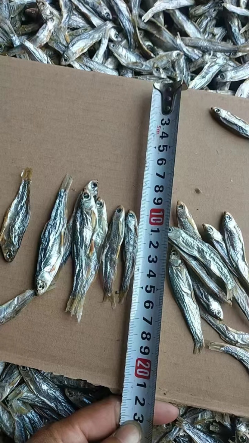 猫零食小鱼干淡水无盐鱼干猫咪零食批发增肥发腮补钙宠物猫粮