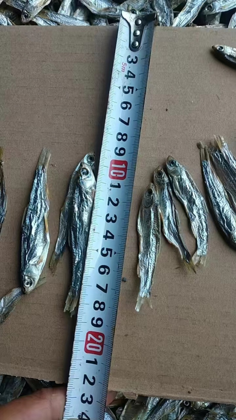 猫零食小鱼干淡水无盐鱼干猫咪零食批发增肥发腮补钙宠物猫粮