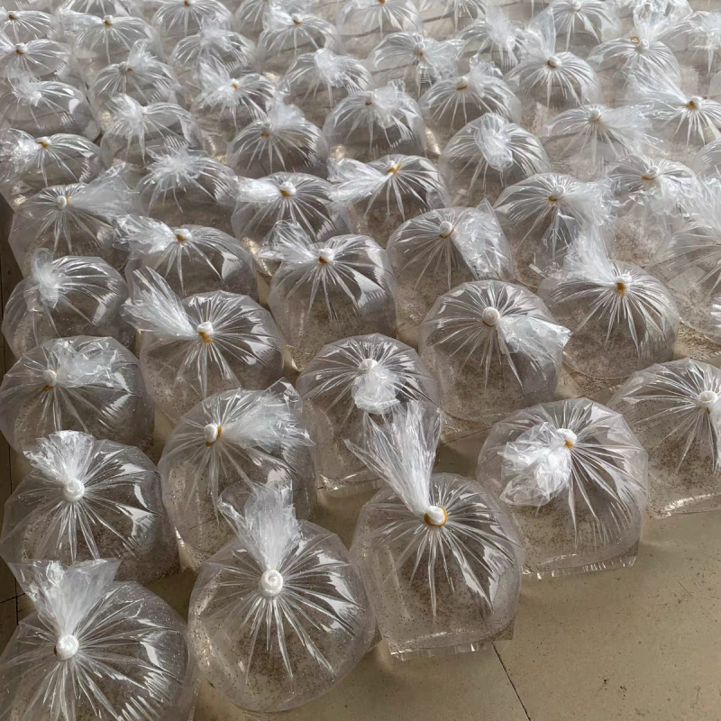 罗氏虾苗出售，养殖技术指导