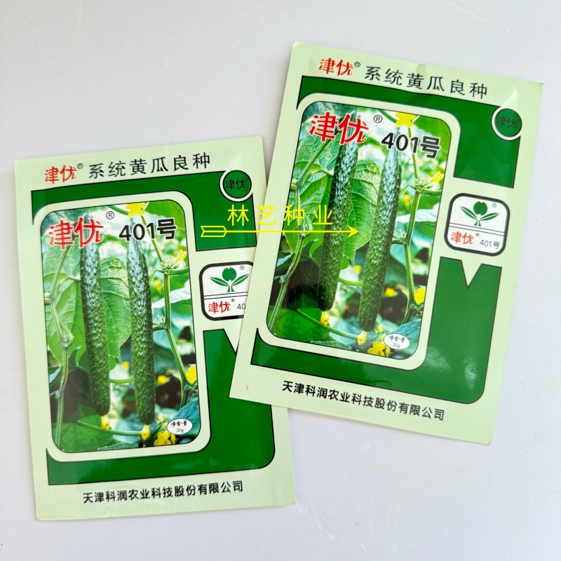 津优401黄瓜种子天津科润牌春秋播抗霜霉病短把绿肉短刺