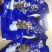 鲜食海参电商团购！！！！！！！！！！！！
