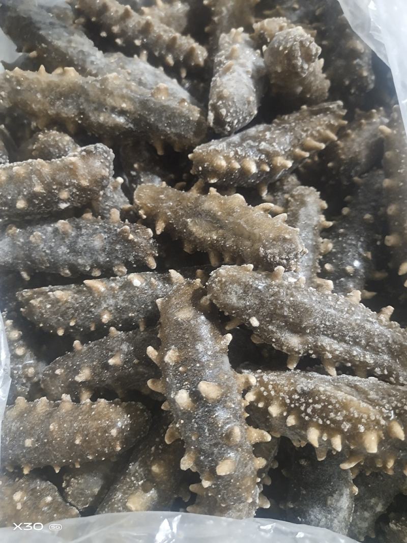 鲜食海参电商团购！！！！！！！！！！！！
