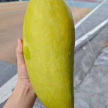 （金煌芒）全网打造电商一件代发，市场发货产地直发