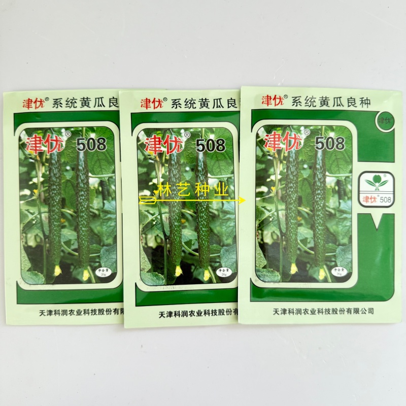 津优508黄瓜种子天津科润牌丰产抗病短瓜把绿肉短刺耐热