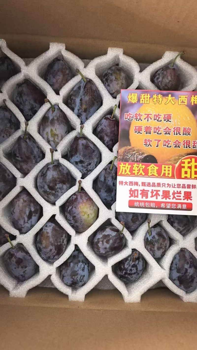 精品西梅李，产地直发，品质保证，可对接电商商超等