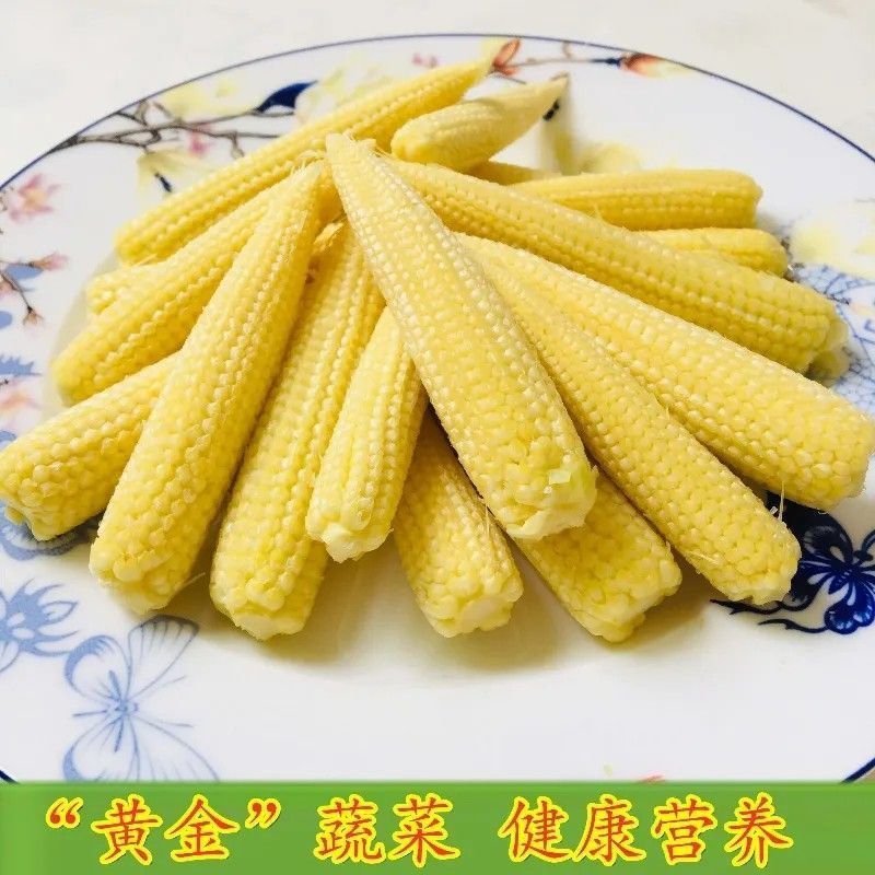 新鲜甜玉米笋鲜嫩蔬菜水果小玉米棒玉米芯非转基因新鲜商用现摘