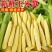 新鲜甜玉米笋鲜嫩蔬菜水果小玉米棒玉米芯非转基因新鲜商用现摘