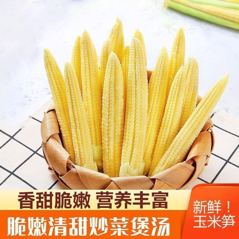 新鲜甜玉米笋鲜嫩蔬菜水果小玉米棒玉米芯非转基因新鲜商用现摘
