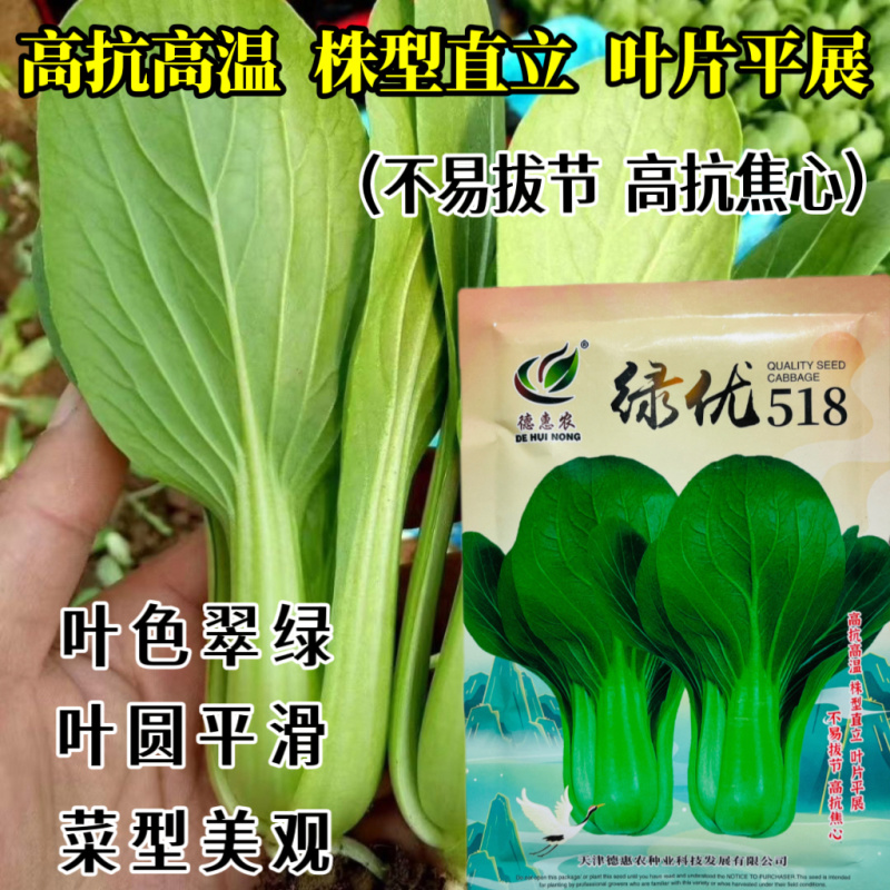 绿优518小青菜种子耐热耐抽苔高产青梗菜种籽上海青