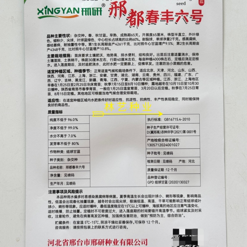 邢都春丰六号牛心甘蓝种子亮绿大球早熟高产抗病商品性佳
