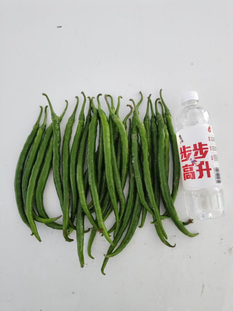 线椒，市场货，电商货