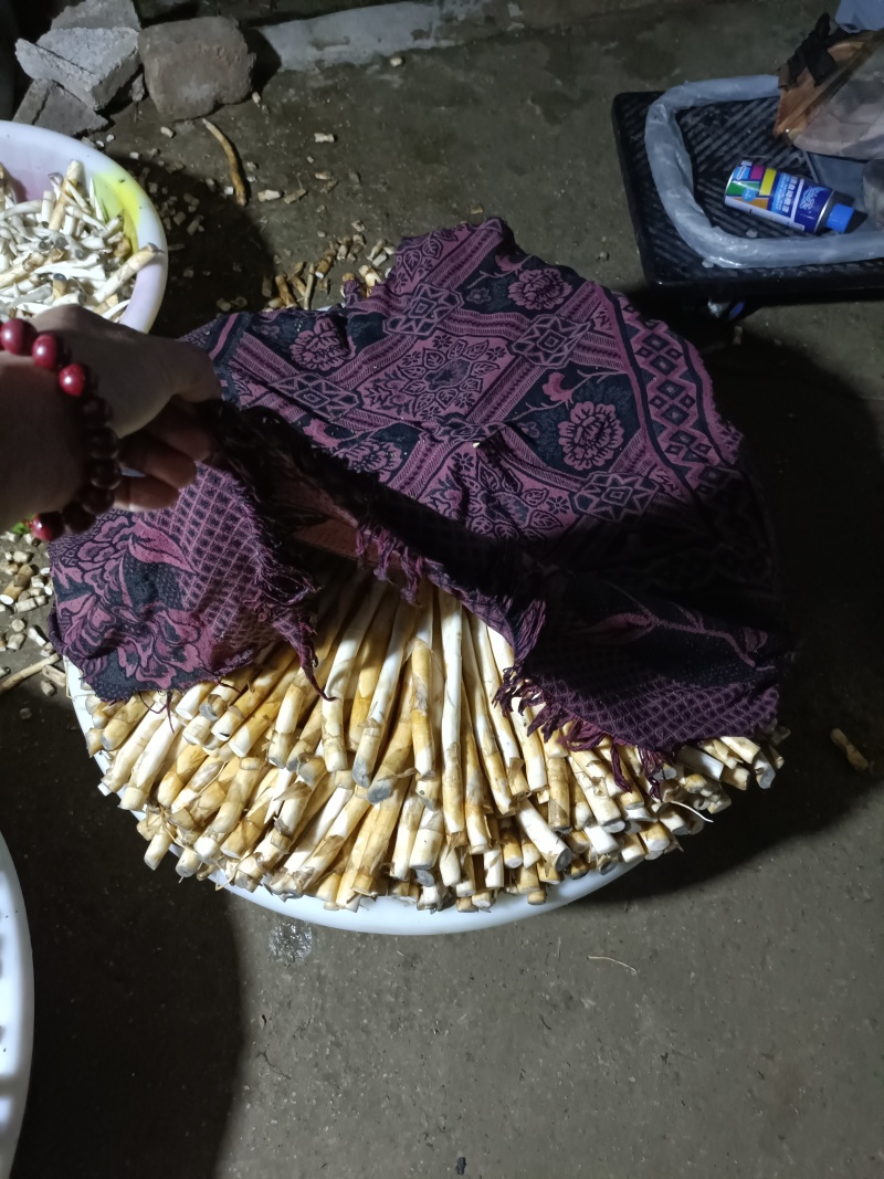 象牙菜是香蒲科香蒲属多年生水生或沼生草本植物
