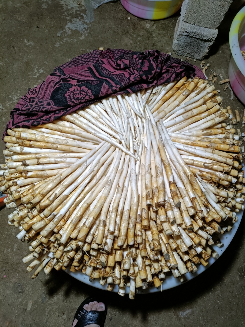 象牙菜是香蒲科香蒲属多年生水生或沼生草本植物