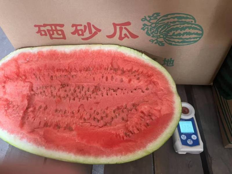 宁夏中卫A级石头缝硒砂瓜，宁夏中卫一级精品硒砂瓜